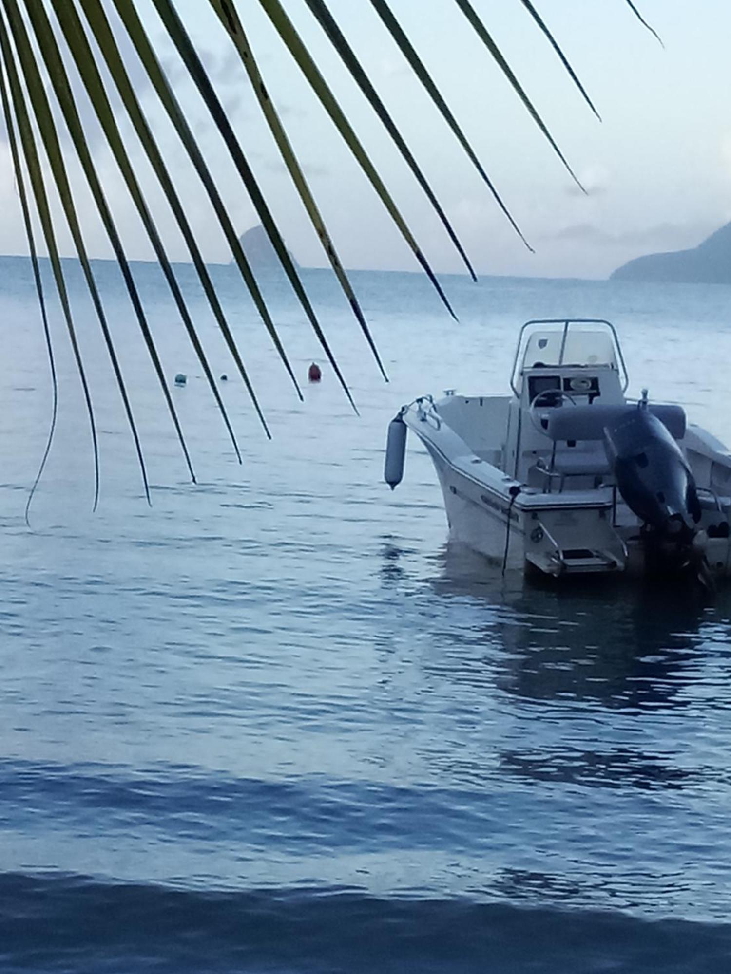 Villa Paletuvier Ste Luce Martinique Proche Plage Сен-Лу Екстериор снимка